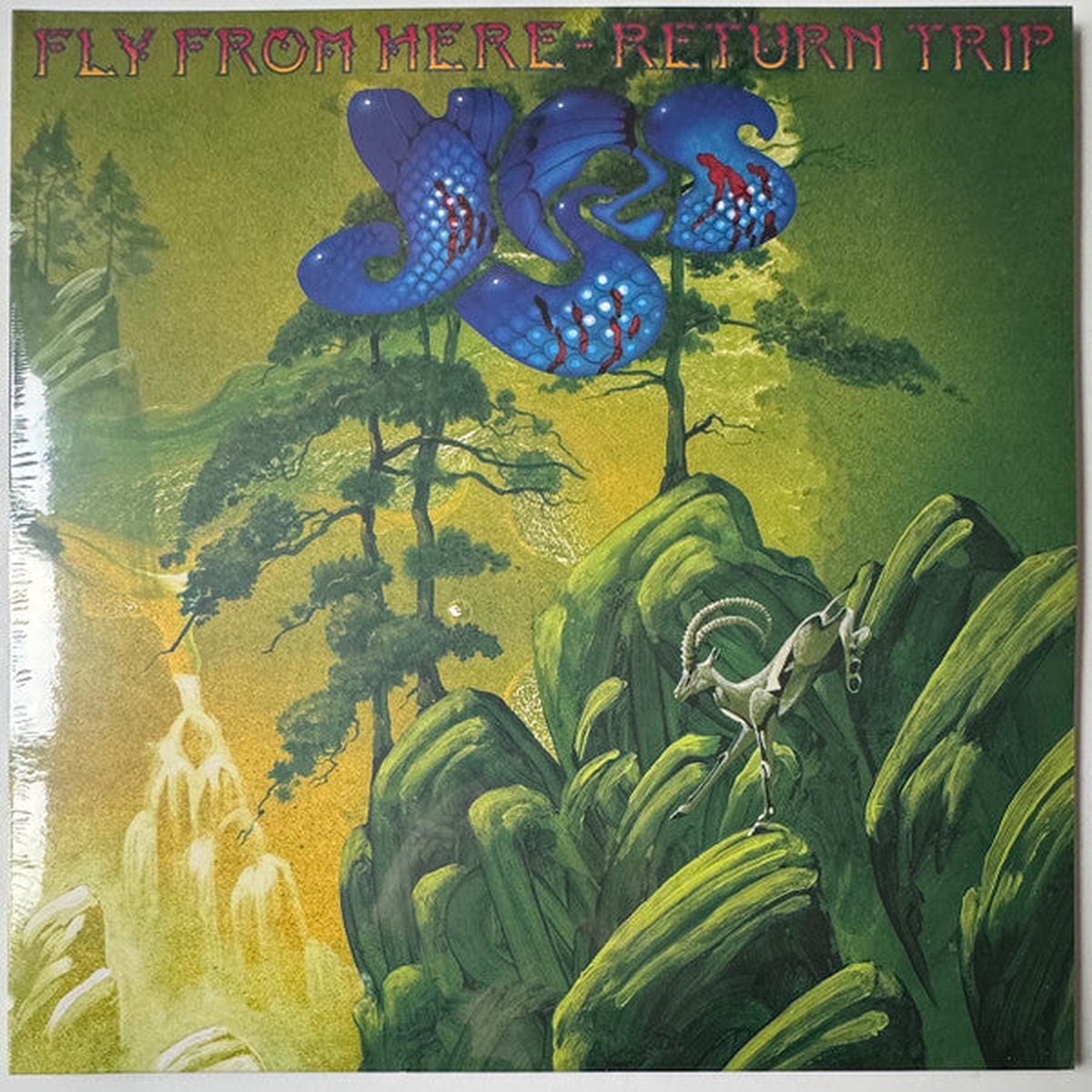 yes-fly-from-here-return-trip-2025-lp