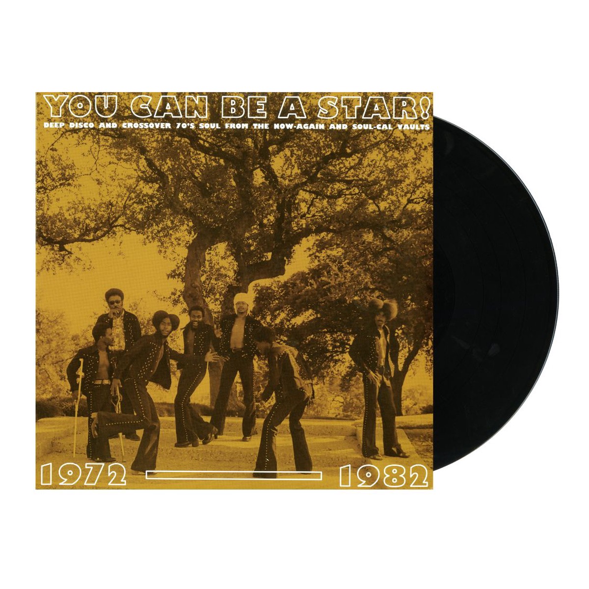 you-can-be-a-star-lp
