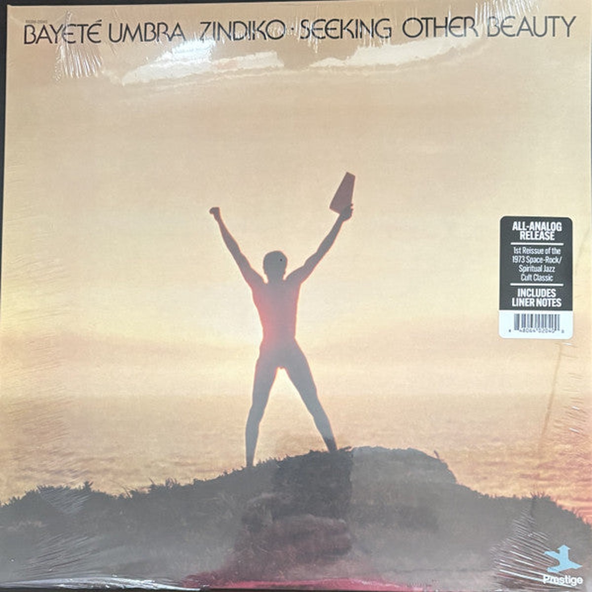 zindiko-bayete-umbra-seeking-other-beauty-plasma-lp