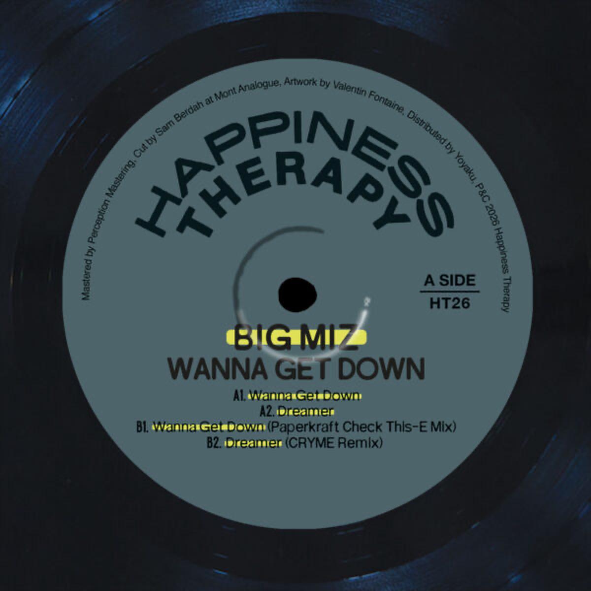presale-wanna-get-down-vinyl-mint-m-mint-m-house-new