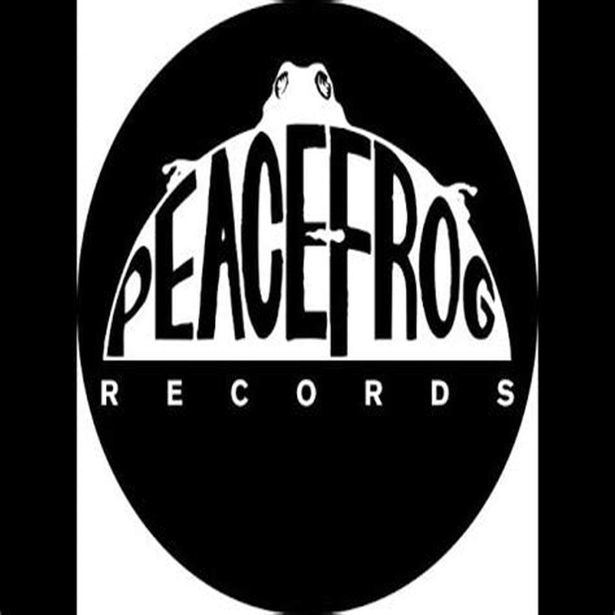 pre-order-5-1-26-bump-talkin-smoke-2xvinyl-mint-m-mint-m-house-new-color
