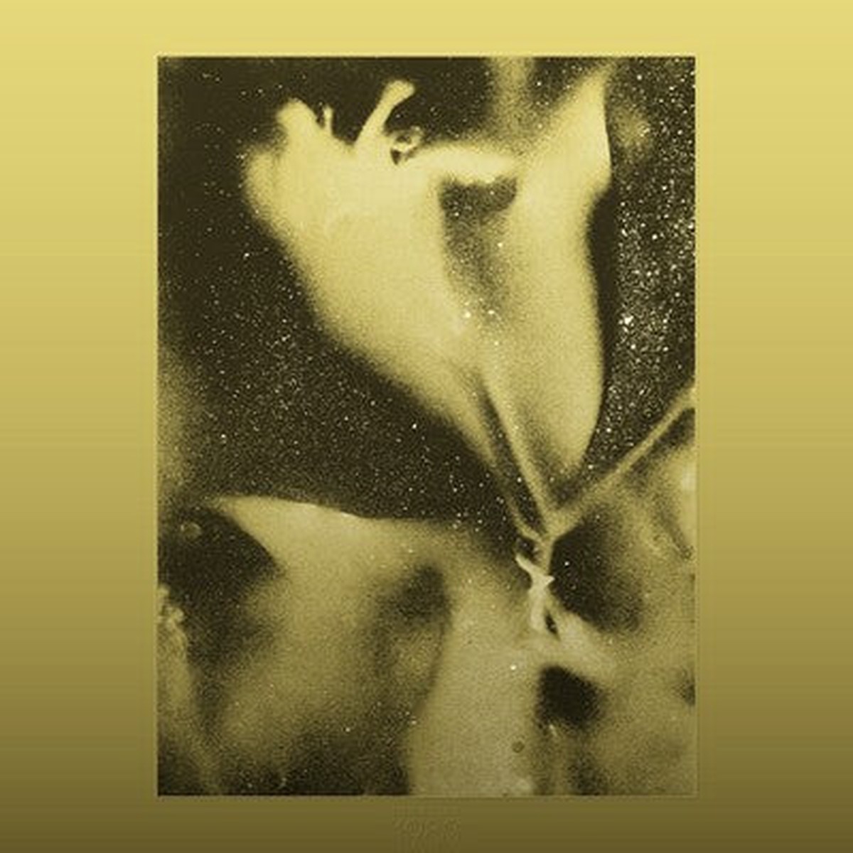 1983-rsd-2026-flying-lotus-vinyl-limited-edition