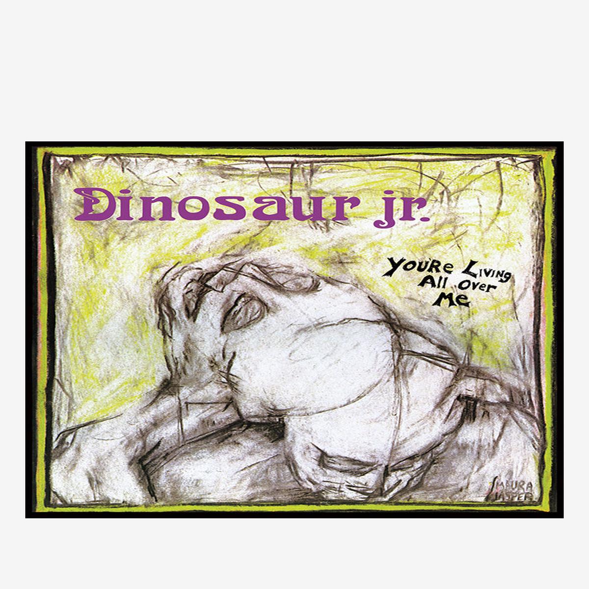you-re-living-all-over-me-lp
