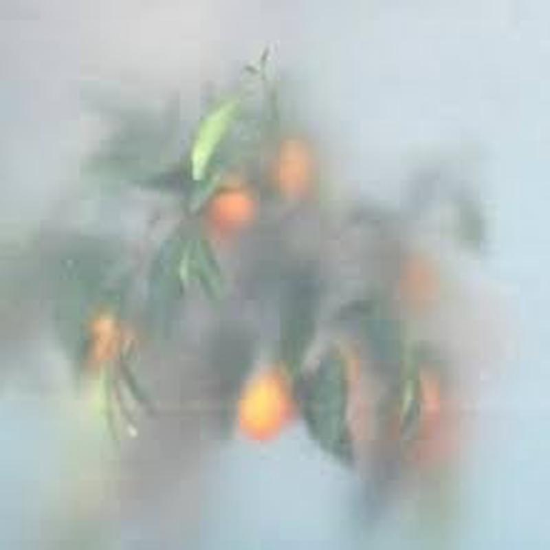 ziq-mrs-jinx-secret-garden-green-vinyl-lp-new